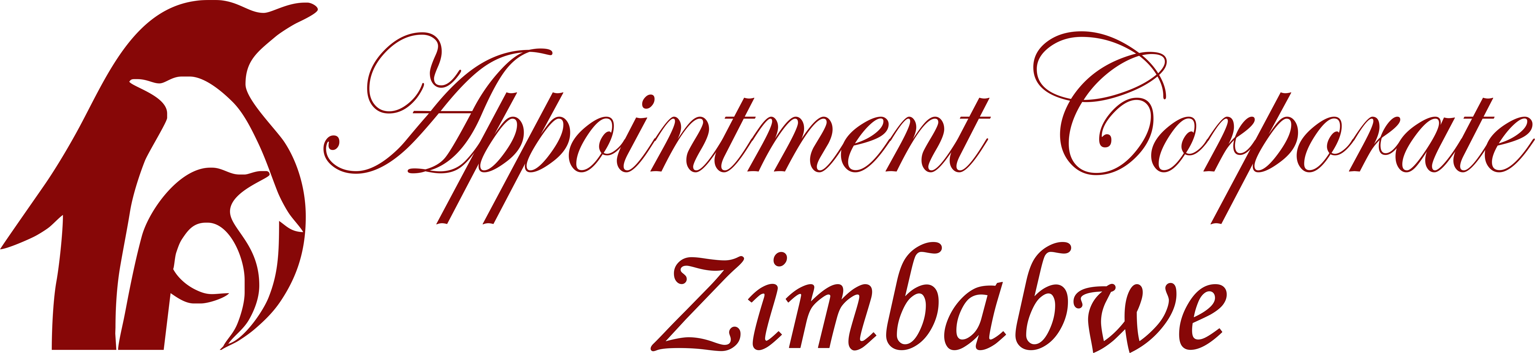 Appointment Corporate Zimbabwe