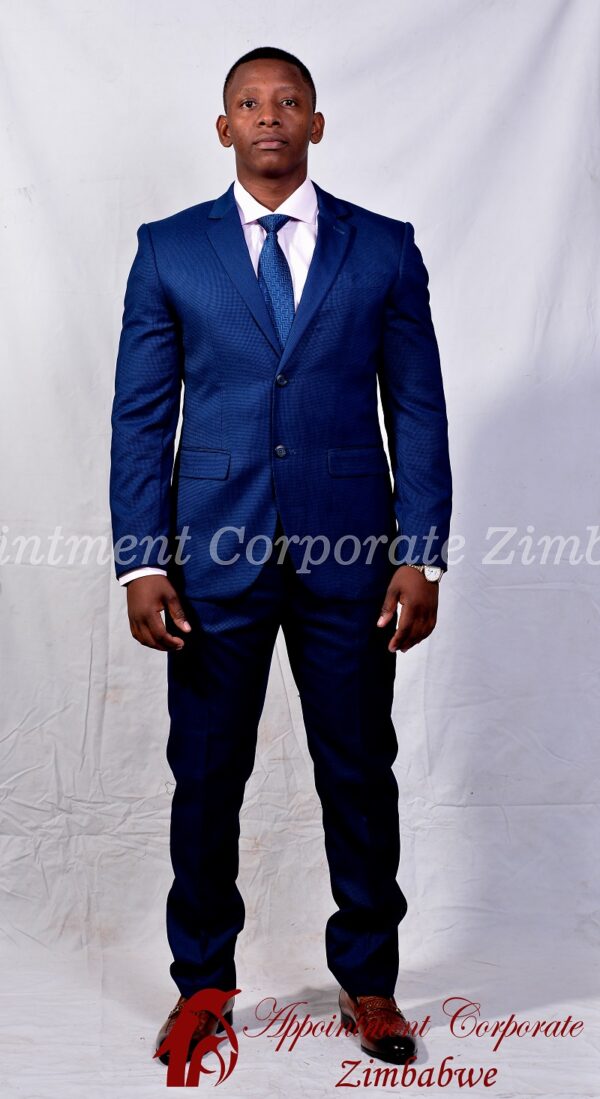 Blue Ariel Suit - Image 3